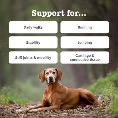 Zesty Paws Hip & Joint Chews, z indykiem