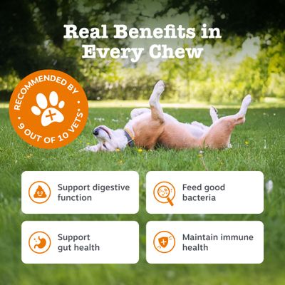 Zesty Paws Probiotic Chews, z dynią