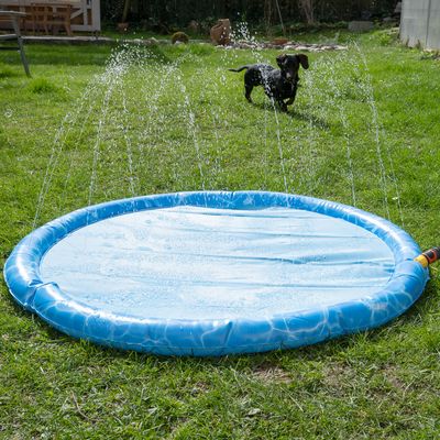TIAKI basen dla psa Splash