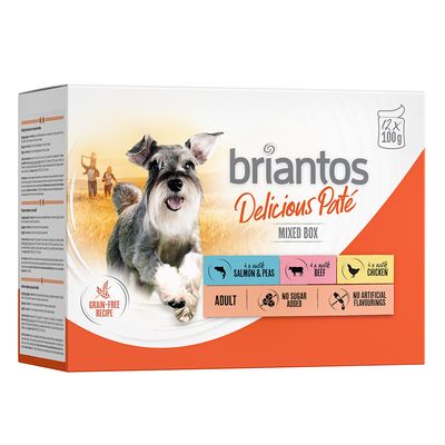 Megapakiet Briantos Delicious Paté, 48 x 100 g