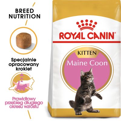 Royal Canin Maine Coon Kitten