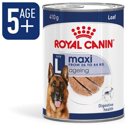 Royal Canin Maxi Ageing Mousse