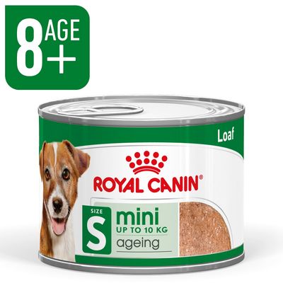 Royal Canin Mini Ageing Mousse