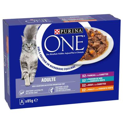 Korzystny pakiet Purina ONE ADULT, 16 x 85 g