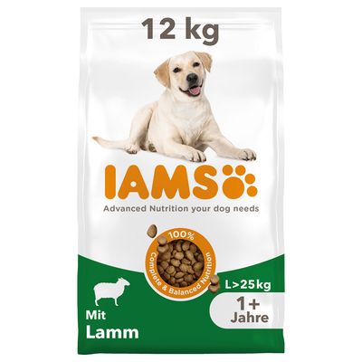 IAMS Advanced Nutrition Adult Large Dog z jagnięciną
