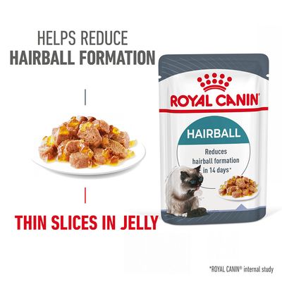 Royal Canin FCN Hairball Care w galarecie