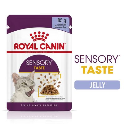 Royal Canin Sensory Taste w galarecie