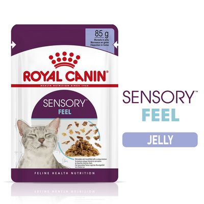 Royal Canin Sensory Feel w galarecie