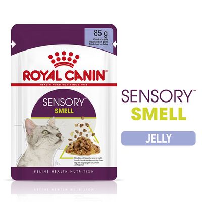 Royal Canin Sensory Smell w galarecie