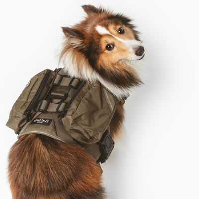 Nomad Tales Tactical szelki dla psa