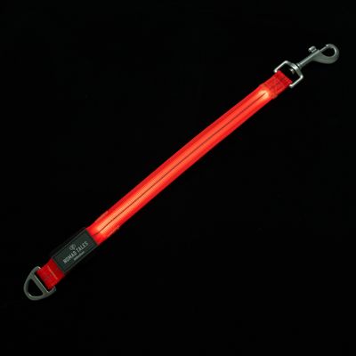 Nomad Tales Spirit USB LED, przedłużenie do smyczy, pomarańczowe