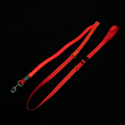 Nomad Tales Spirit USB LED smycz do biegania pomarańczowa