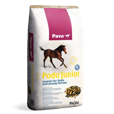 Pavo Podo Junior