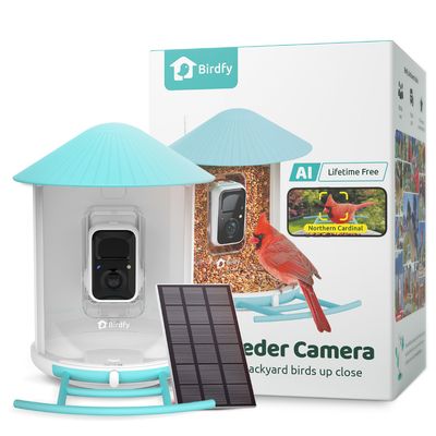 BIRDFY inteligentny karmnik z panelem solarnym