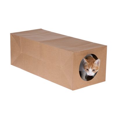 zooplus basics papierowy tunel dla kota