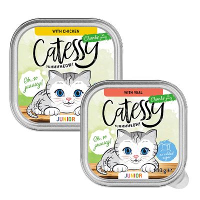 Catessy Junior kawałeczki w sosie, pakiet mieszany 2 smaki
