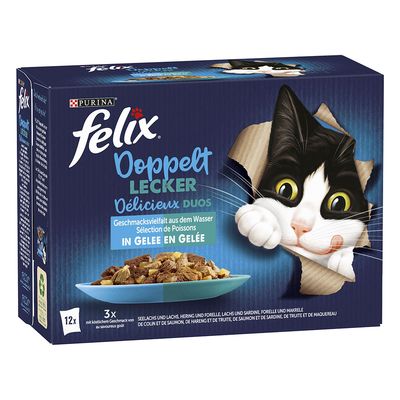 Felix Fantastic 2 smaki, w galarecie, So gut wie es aussieht, 12 x 85 g