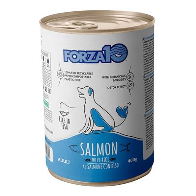 Forza 10 Maintenance, łosoś i ryż