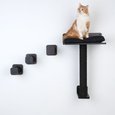 Modern Living zestaw startowy San Francisco