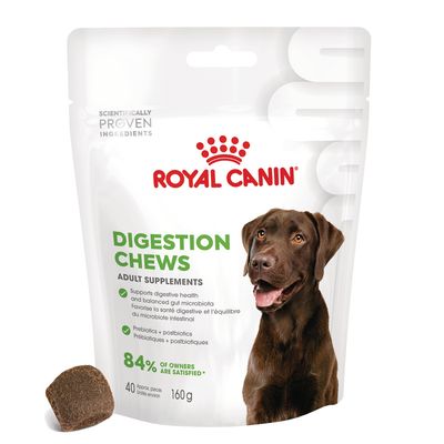 Royal Canin Digestion Adult Supplement Chews