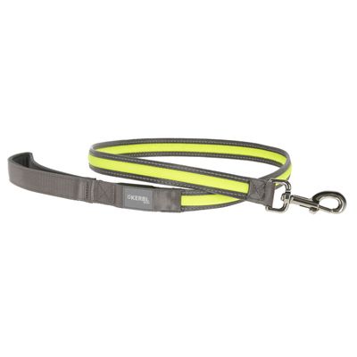 Kerbl Pet Light & Reflex podświetlana smycz dla psa