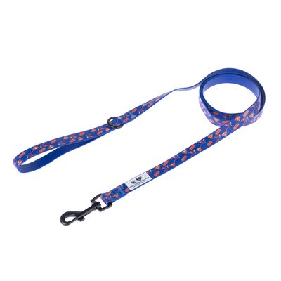 Smycz dla psa DC Superman
