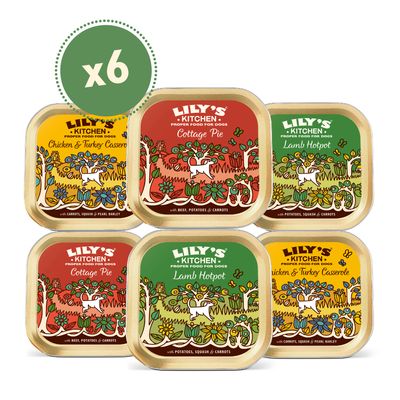 Lily's Kitchen Classic Dinners dla psów