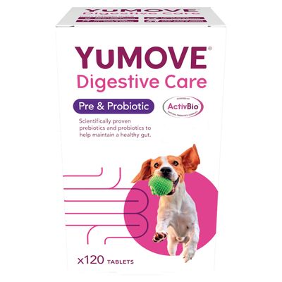 YuMOVE Digestive Care, pre- i probiotyk