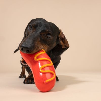 TIAKI zabawka do żucia, hotdog