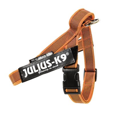 Julius-K9 IDC® Color & Grey szelki dla psa, pomarańczowo-szare
