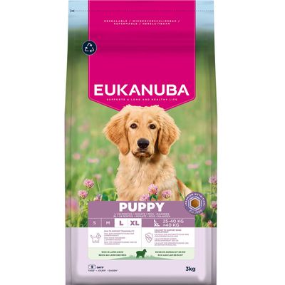 Eukanuba Premium Nutrition Puppy Large & Giant Breed, jagnięcina i ryż