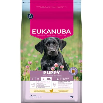 Eukanuba Premium Nutrition Puppy Large & Giant Breed, kurczak