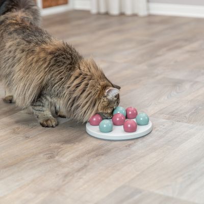Trixie Cat Activity zabawka dla kota, gra strategiczna pasjans