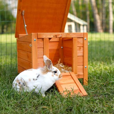 Lionto drewniany domek dla kotów i małych zwierząt