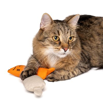zooplus Basics zestaw zabawek dla kota Kitty z kocimiętką