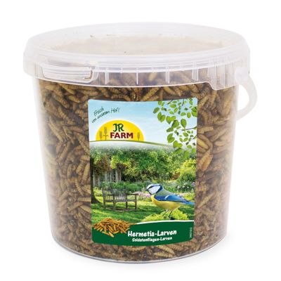 JR Farm Hermetia / larwy muchy żołnierza w wiaderku