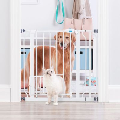 Carlson szeroka bramka Pet Gate z drzwiczkami dla małych zwierząt
