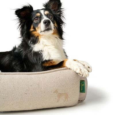 HUNTER sofa dla psa Belluno, z materiałów z recyklingu
