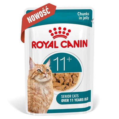 Royal Canin Ageing 11+ w galarecie