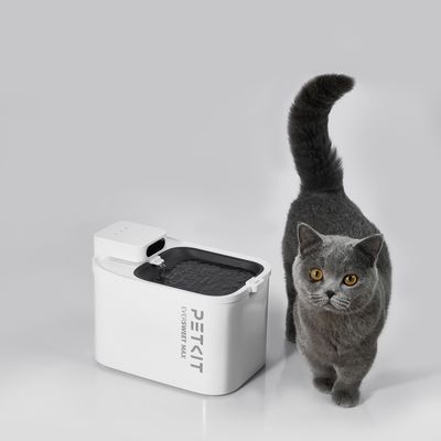 Petkit poidełko fontanna Eversweet Max