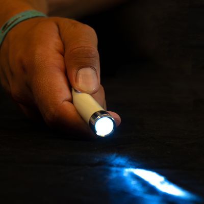 zooplus Basics wskaźnik LED