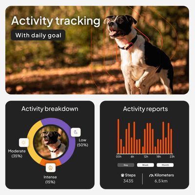 Weenect Pet GPS Tracker XS dla psów, bez obroży