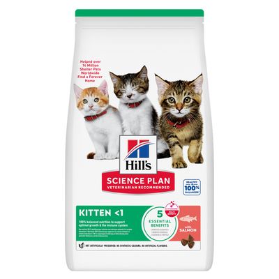 Hill's Science Plan Kitten <1, łosoś