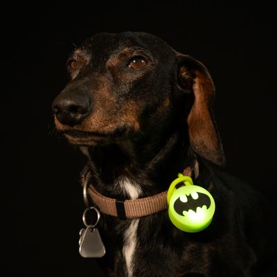 DC Batman zawieszka świecąca na obrożę