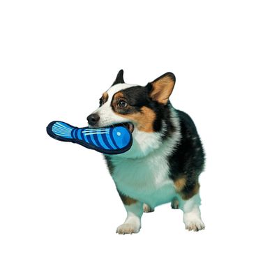 Bark zabawka dla psa, śledź