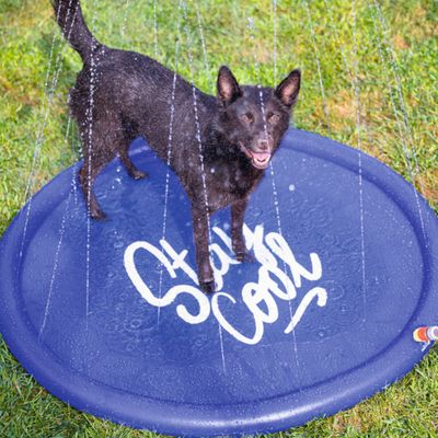 Beeztees mata zraszająca Stay Cool, niebieska