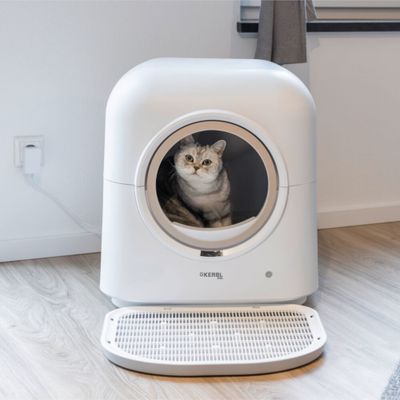 Kerbl Pet samoczyszcząca kuweta dla kota Smart