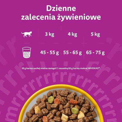 48 x 85 g / 120 x 85 g Whiskas: saszetki + Temptations, chrupiące poduszeczki, 180 g gratis!