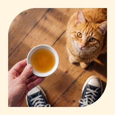 animonda Carny Cat Drink, 12 x 140 ml