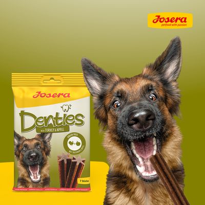 Josera: karma sucha dla psa, 12,5 kg + Denties, przysmak, 180 g gratis!